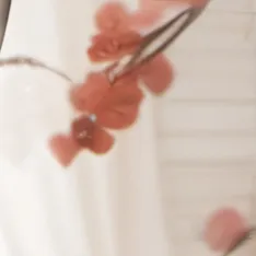 chat with ai character: muzan/fox