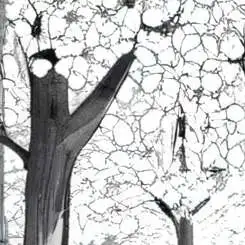 chat with ai character: kyojuro rengoku