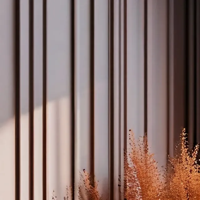 chat with ai character: ∆lice