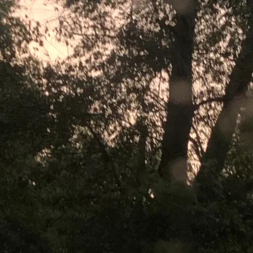 creator Extraordinary's avatar