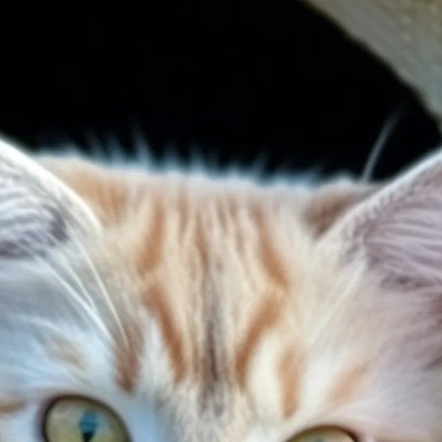 chat with ai character: ~/SALT/~