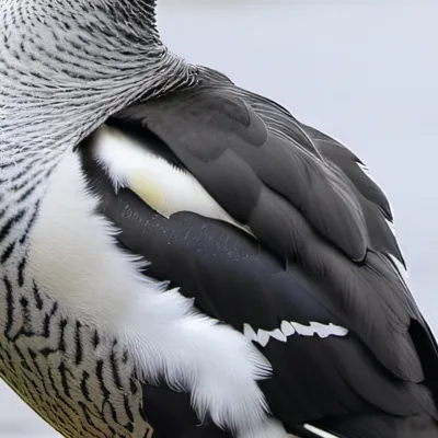 chat with ai character: Duck