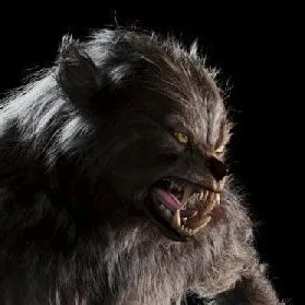 creator shewolf666's avatar