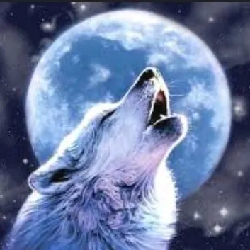 creator Galaxy/Fang's avatar