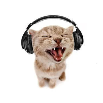 creator uhhhh (¬◡¬)✧'s avatar