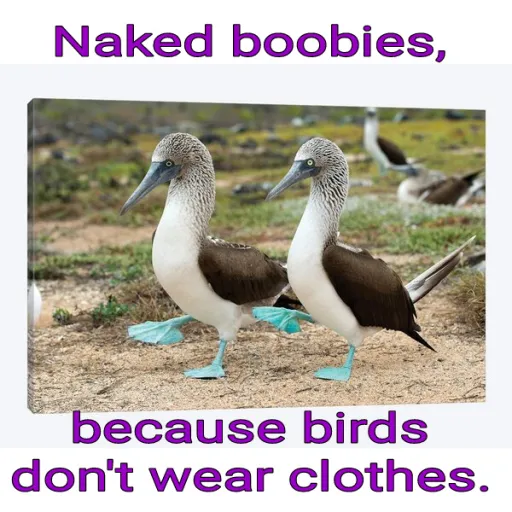 creator ChrisMissAdventure's avatar