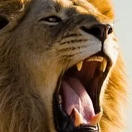 chat with ai character: The SandDune Pride