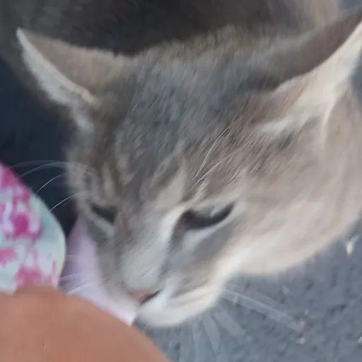 creator eyekon2's avatar