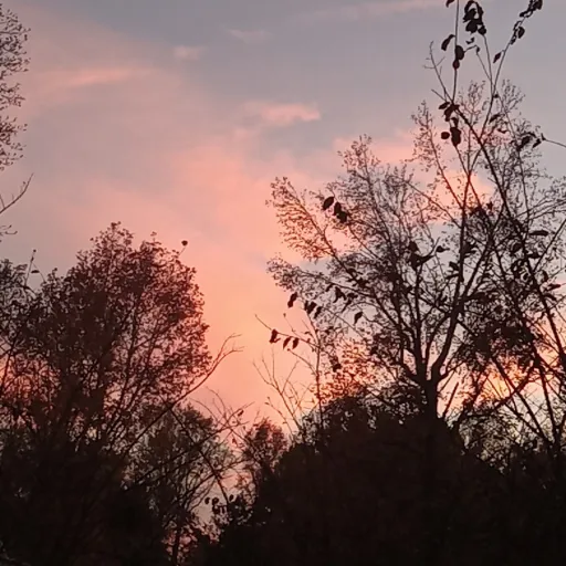 creator 神由依's avatar