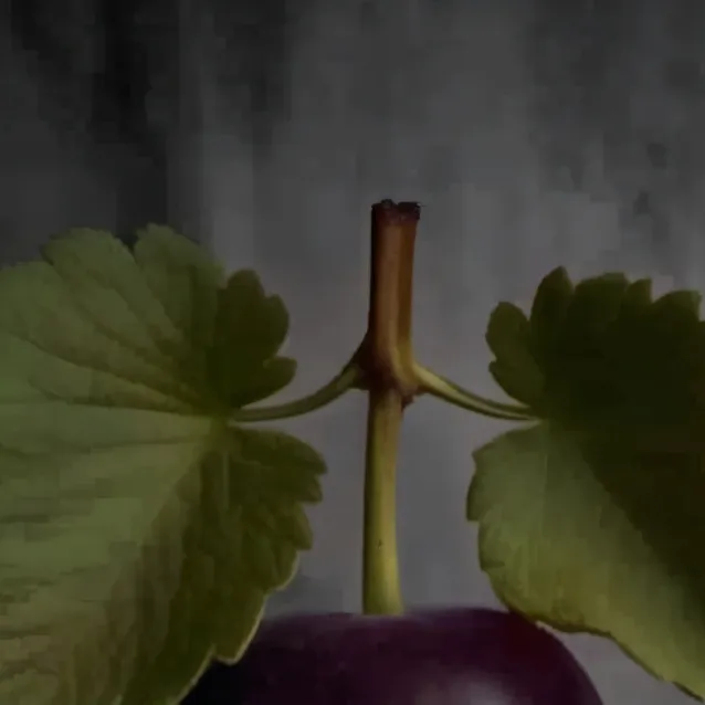 chat with ai character: grabe