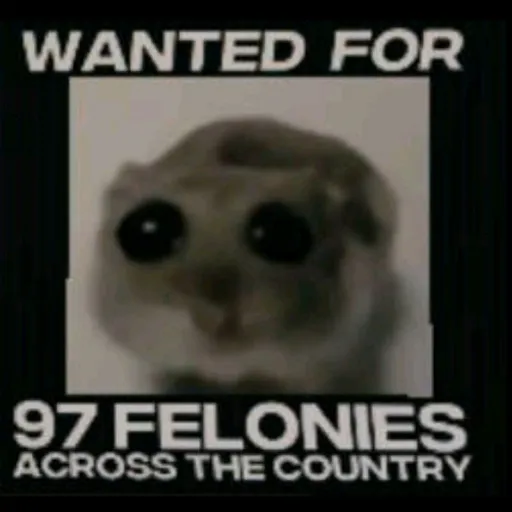 creator Im_a_simp4_hot_ppl's avatar