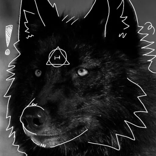 creator ☆•Black Wolf•☆'s avatar