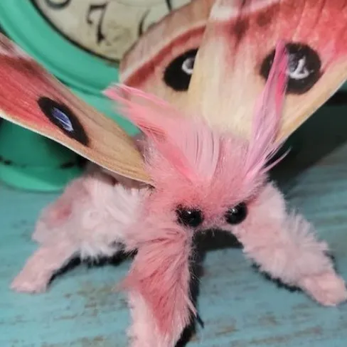 creator ★~🅖🅞🅞🅕🅨 🅐🅗🅗~★'s avatar