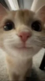 ai character: Anything background