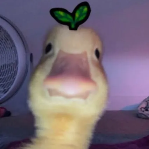 creator ♤♡Blake Amajiki♡♤'s avatar