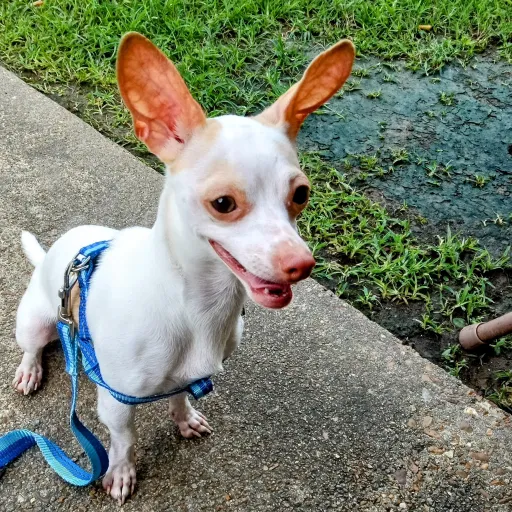 creator Mary Mercury's avatar