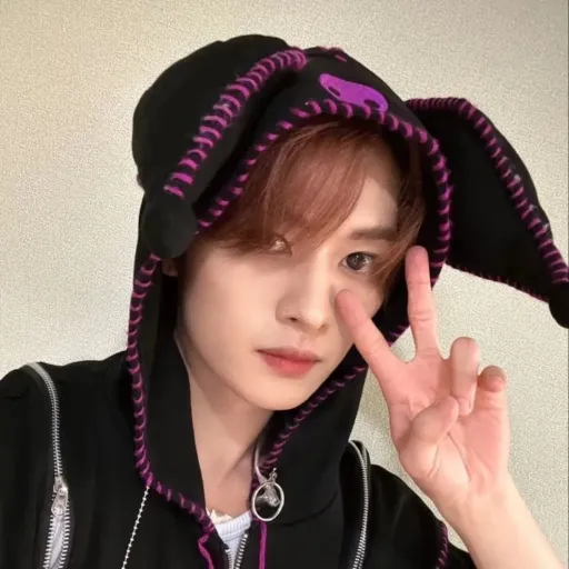 creator LeeKnow's avatar