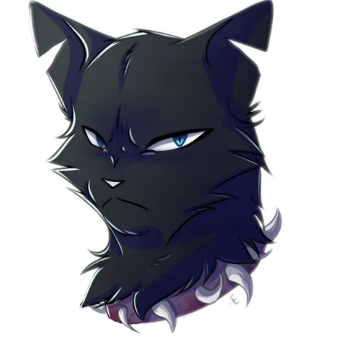 creator Scourage warriors's avatar