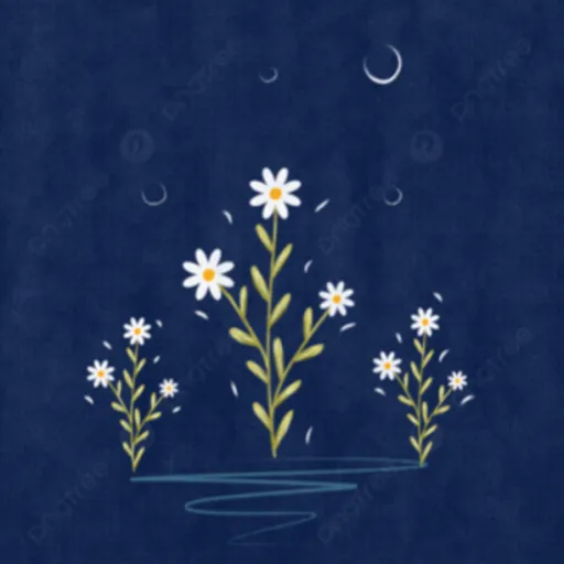 creator Talkior-BSNQxh7c's avatar