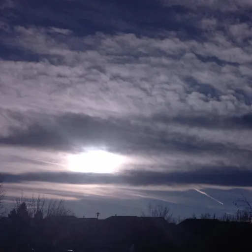 creator panda parties's avatar