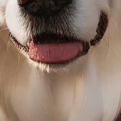 chat with ai character: Pearl