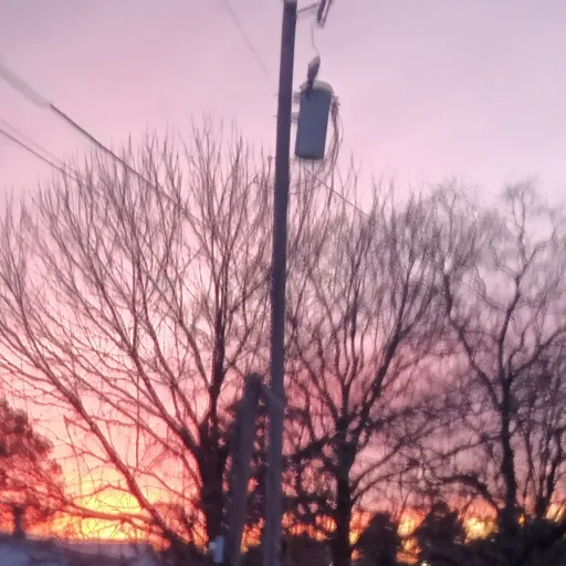 creator BIGBACKBIGBACk's avatar