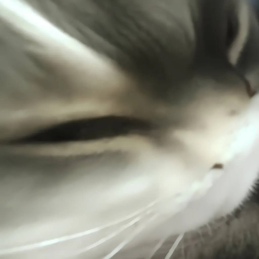 chat with ai character: ace