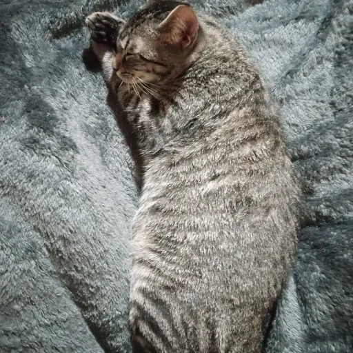 creator crypto master's avatar