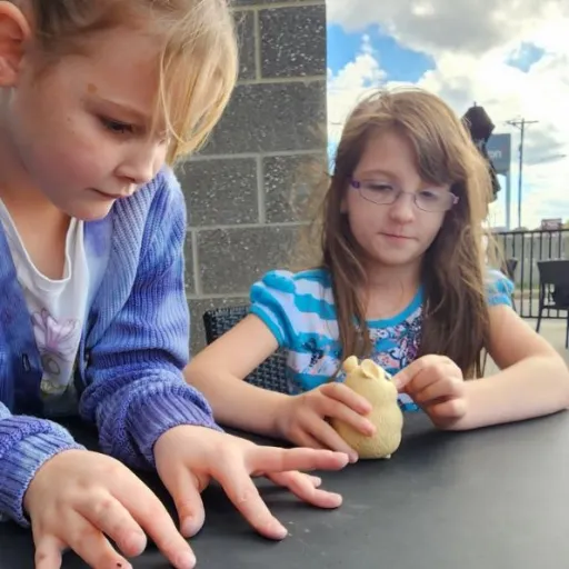 talkie's author avatar