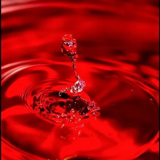 creator 🥀♦️яє∂♦️🥀's avatar