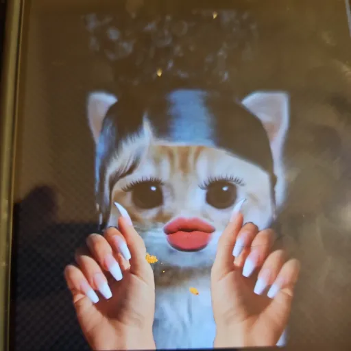 creator 8mile's avatar