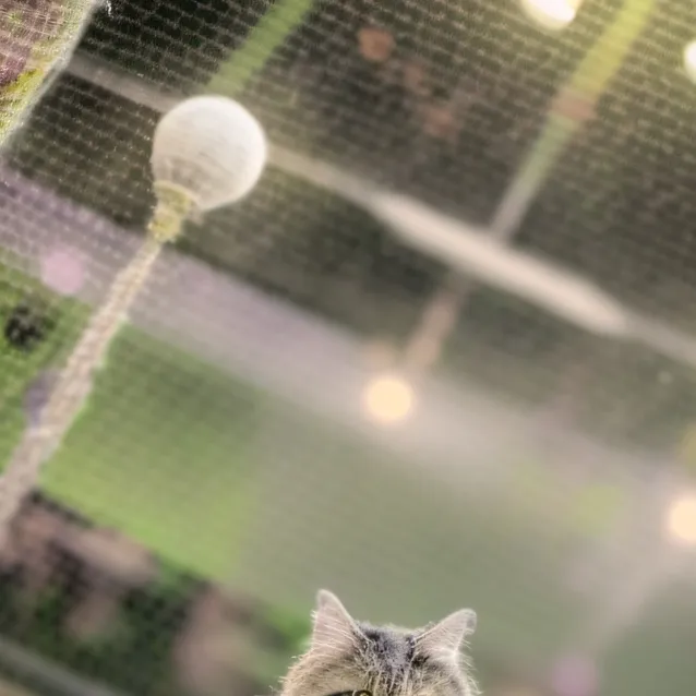 chat with ai character: TADC