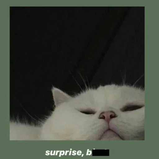 creator 🖤- Kai -🖤's avatar