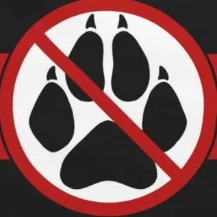 creator Talkior-Z2d5P2Ko's avatar