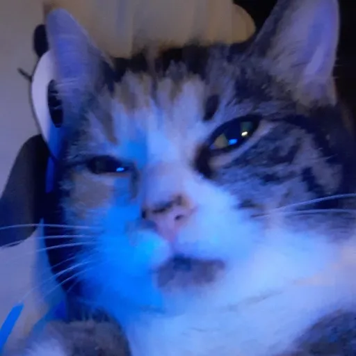 creator KITSUE's avatar