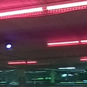 creator Lima Bean's avatar