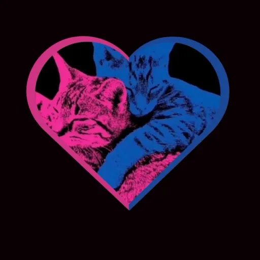 creator Who Really Cares?'s avatar