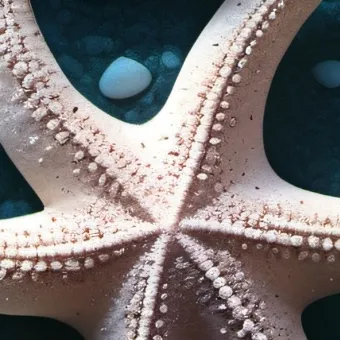 chat with ai character: Idk