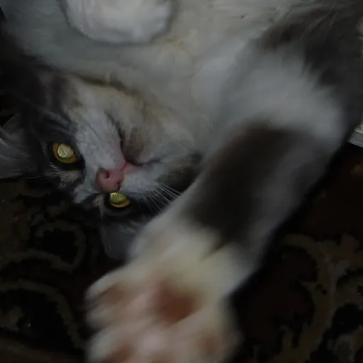 creator 1ntrud3r's avatar