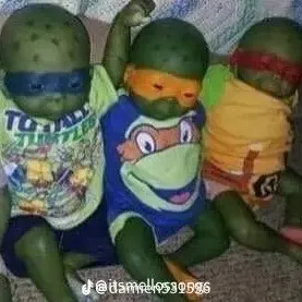 creator the 3 Ninja Turtle's avatar