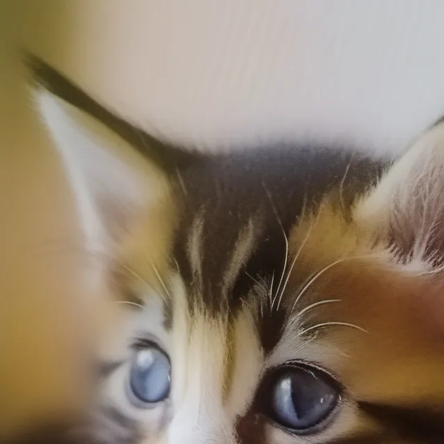 chat with ai character: Anna