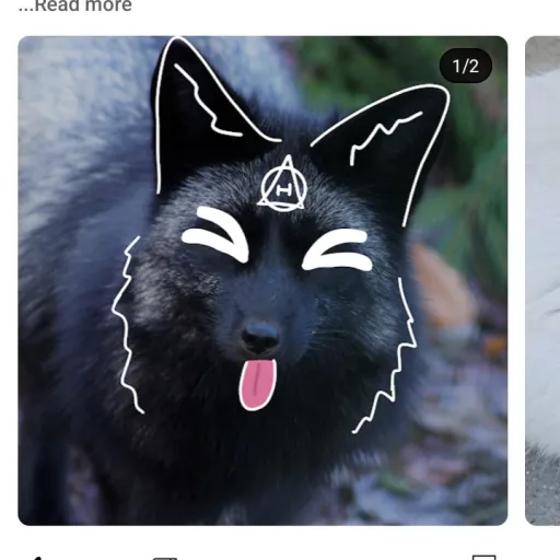 creator love cat 1235's avatar