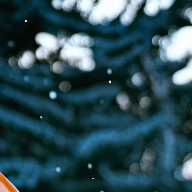 chat with ai character: Countryhumans