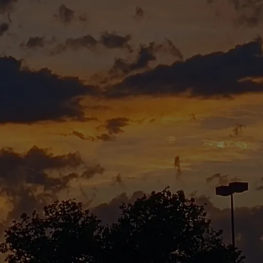 creator ♡𝑆𝑎𝑡𝑜𝑟𝑢 𝐺𝑜𝑗𝑜♡'s avatar