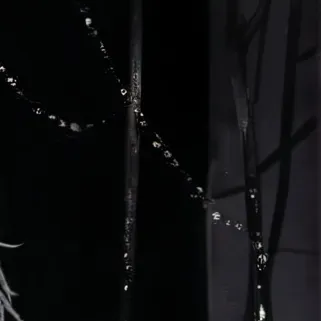 chat with ai character: ✧𖤐◯𝐵𝑟𝑢𝑡𝑢𝑠◯𖤐✧