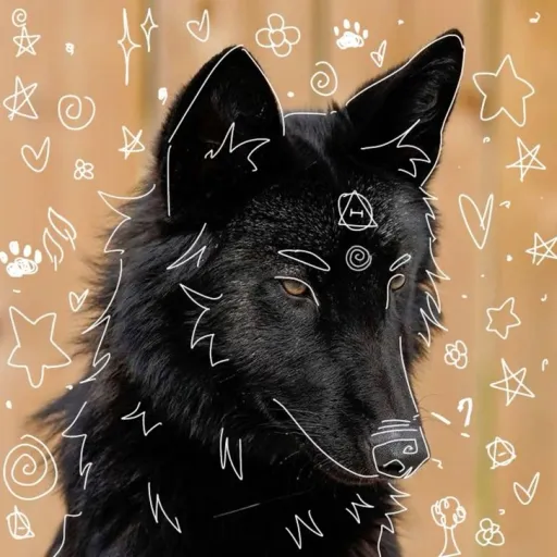 creator °•°Shadow°•°'s avatar