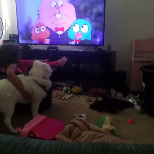 creator ✨💜🚦☆♡kate♡☆🚦💜✨'s avatar