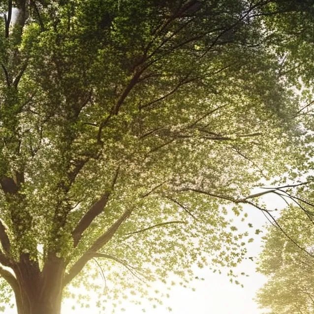 chat with ai character: grass