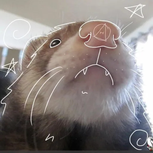 creator 🔪spirit_wolf_dead🥀's avatar