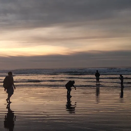 creator rosewoodisthebest's avatar